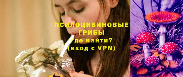 гашик Балабаново