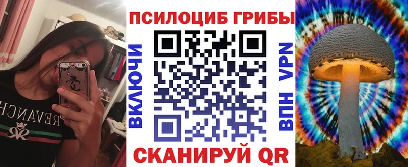Галлюциногенные грибы Psilocybine cubensis  Сокол 